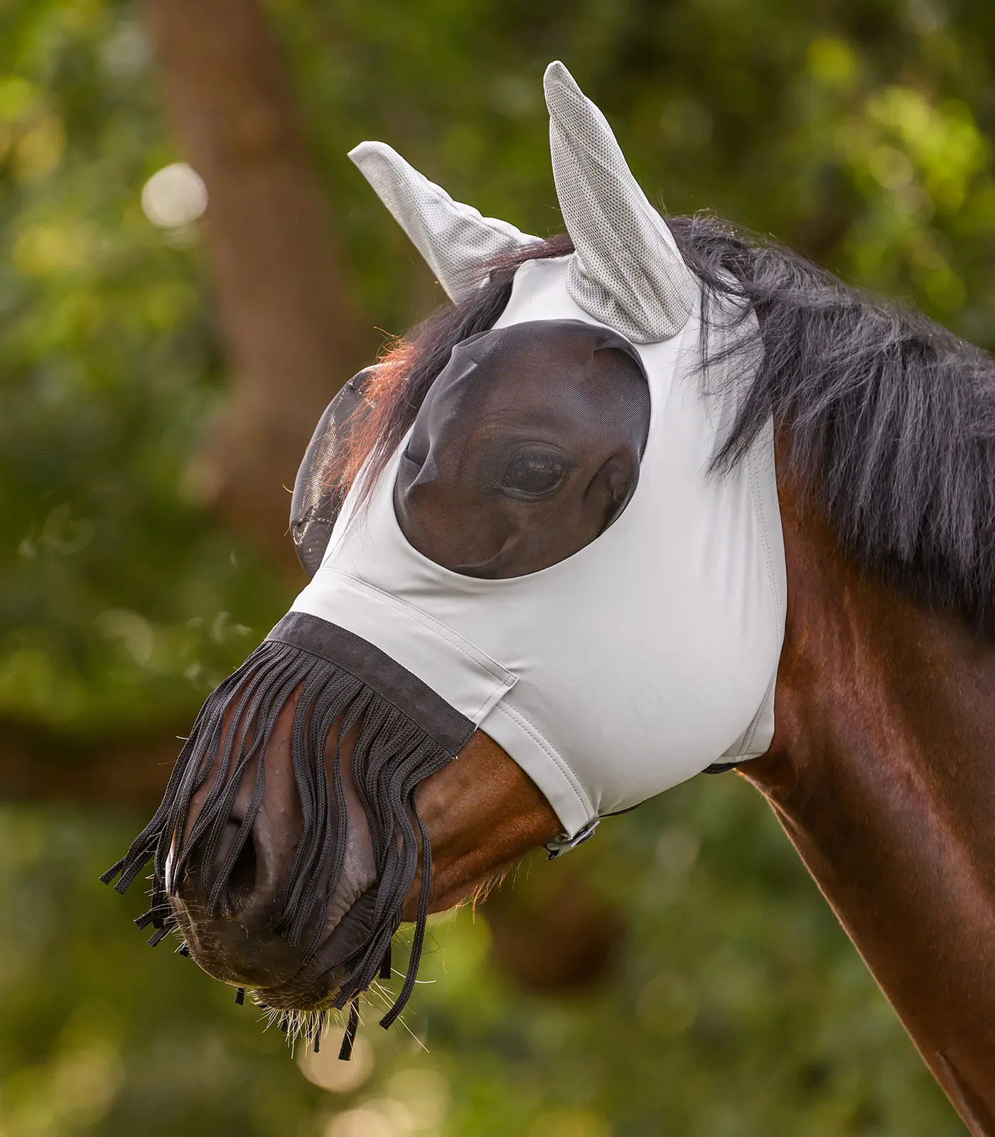 PUCK fly mask with nose fringes