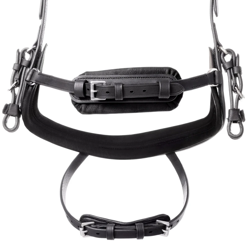 bridle CALIANO english nb. with flash