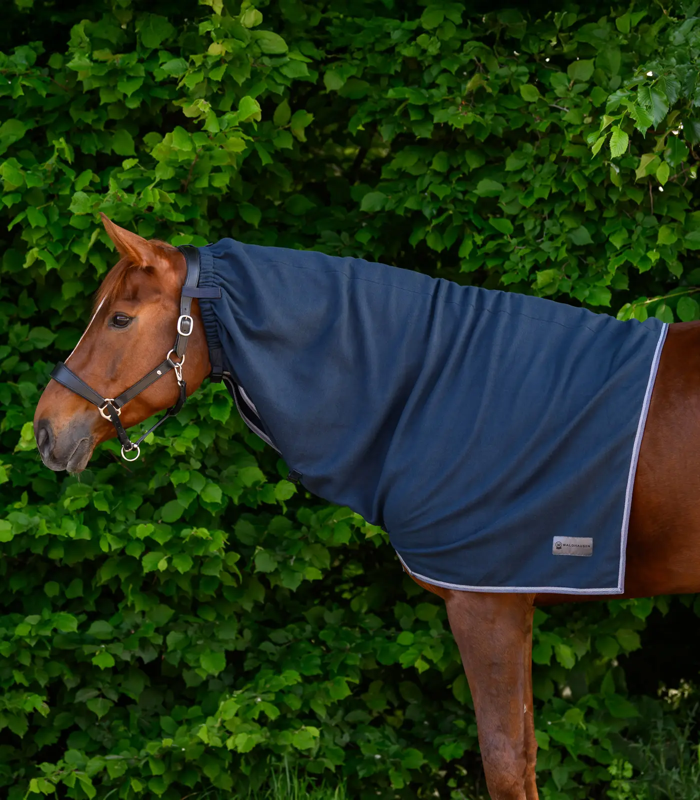 Fleece-Halsdecke ECONOMIC