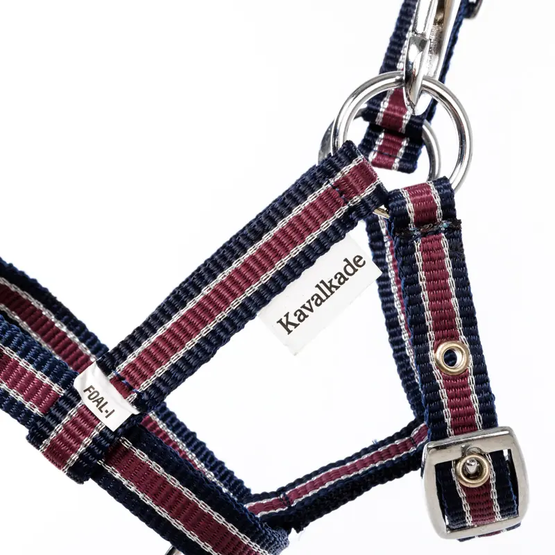 nylon Foal/Yearling halter