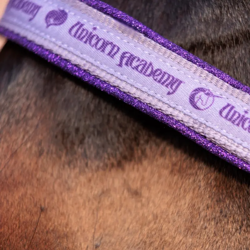 Halfter "Unicorn Academy"-Glitzer