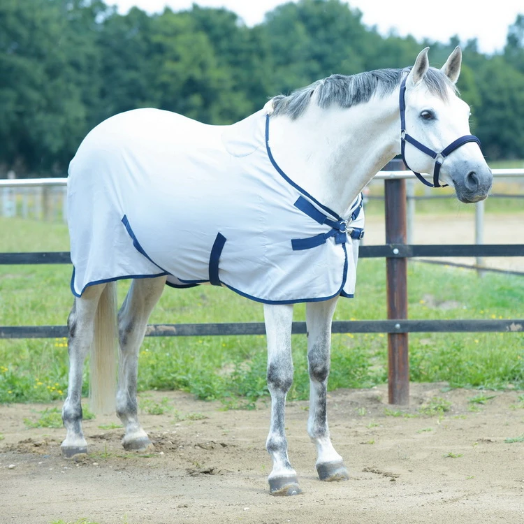 BUSSE Summer Rug EARLY SEASON