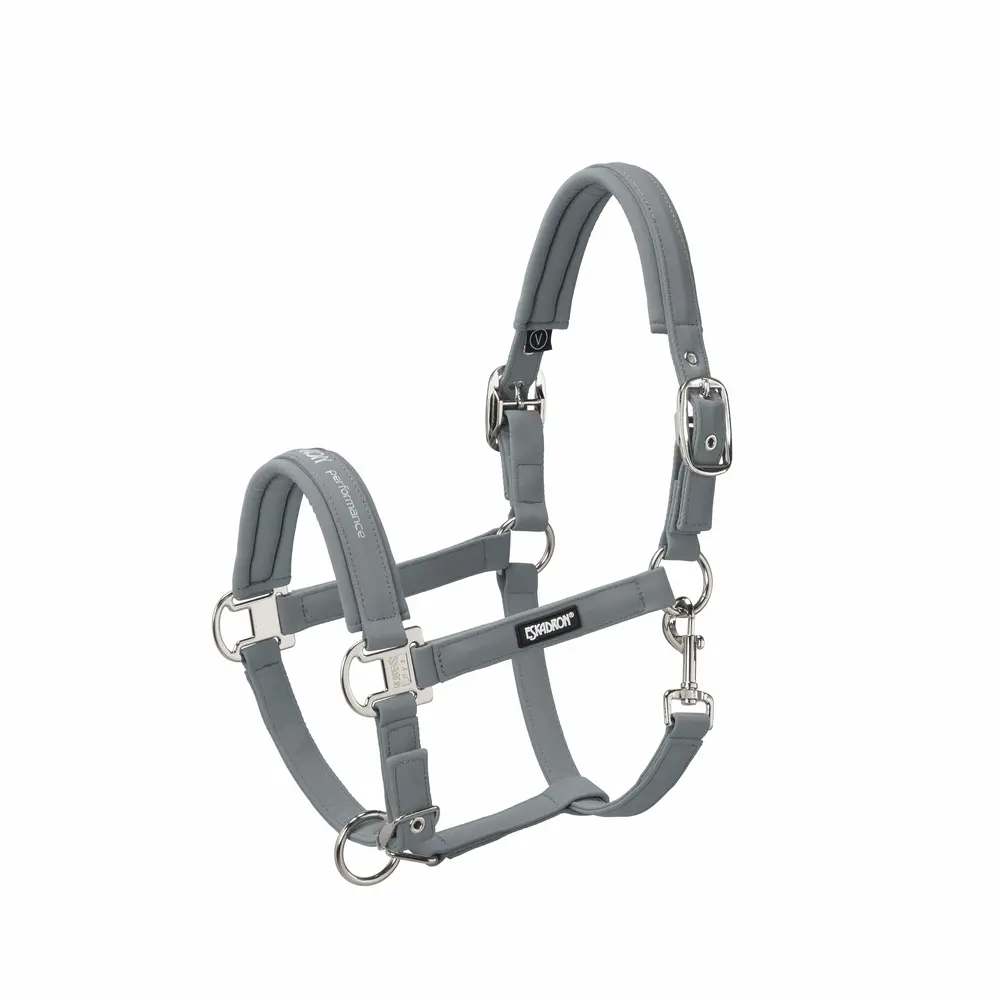 Halfter DOUBLE PIN BUCKLE SOFTSHELL CORE