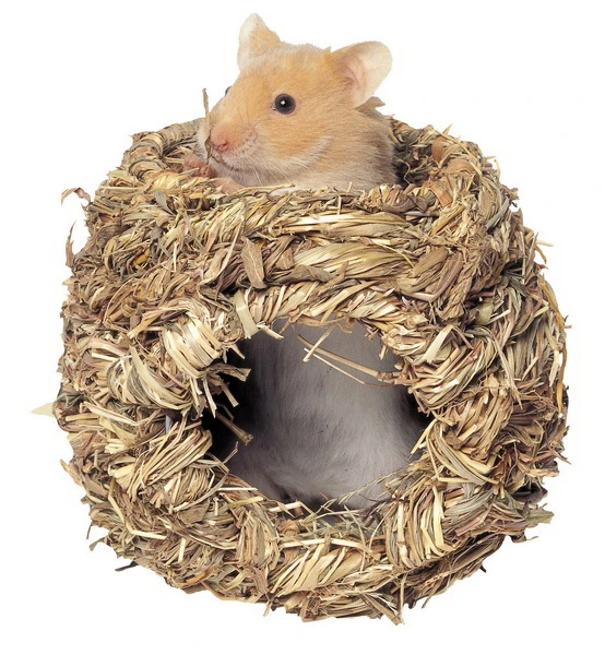 roll-a-nest, small
