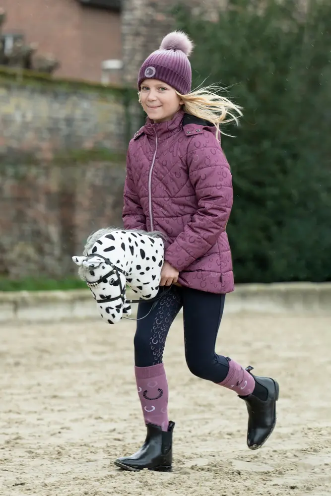 Hobby Horse