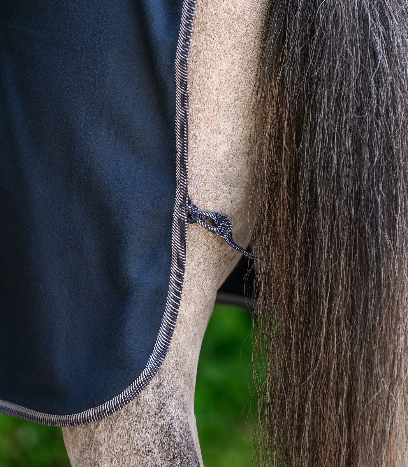 ECONOMIC fleece horse walker rug