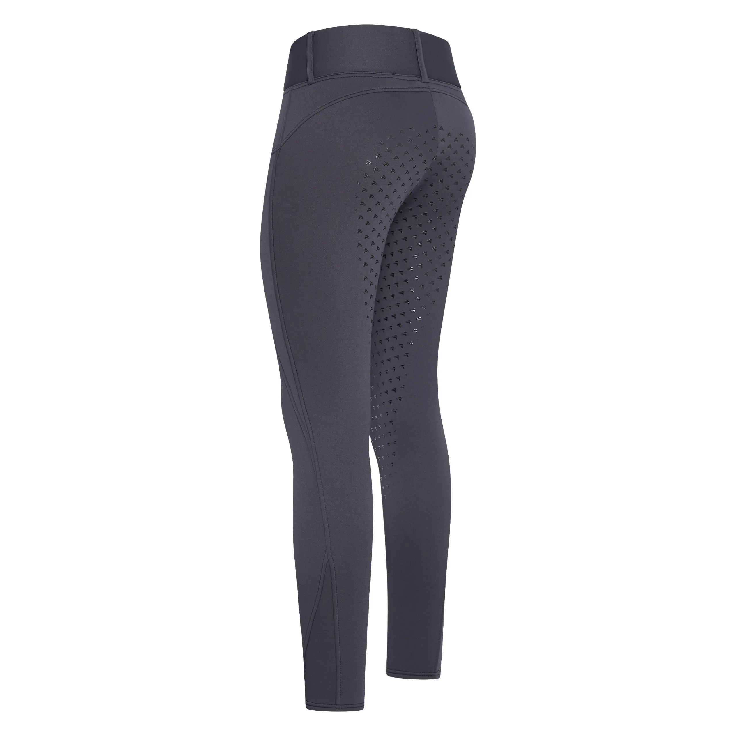 Damen Reitleggings Don FullGrip