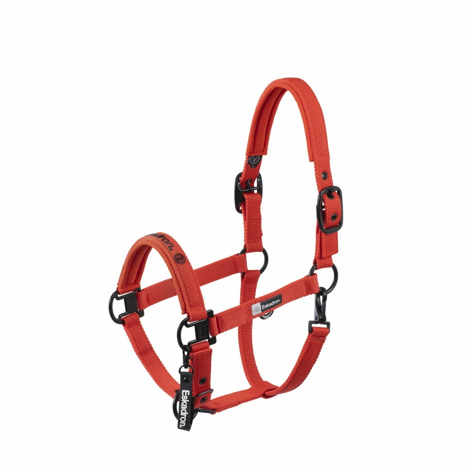 Halfter DOUBLE PIN Dynamic 2025