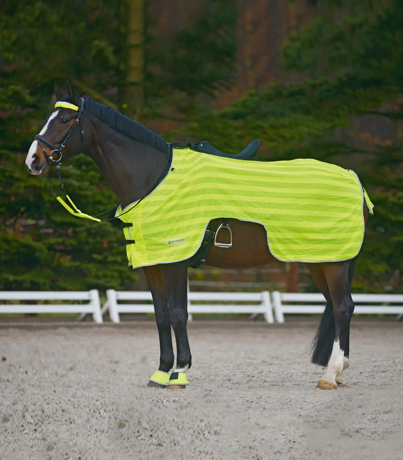 REFLEX riding blanket