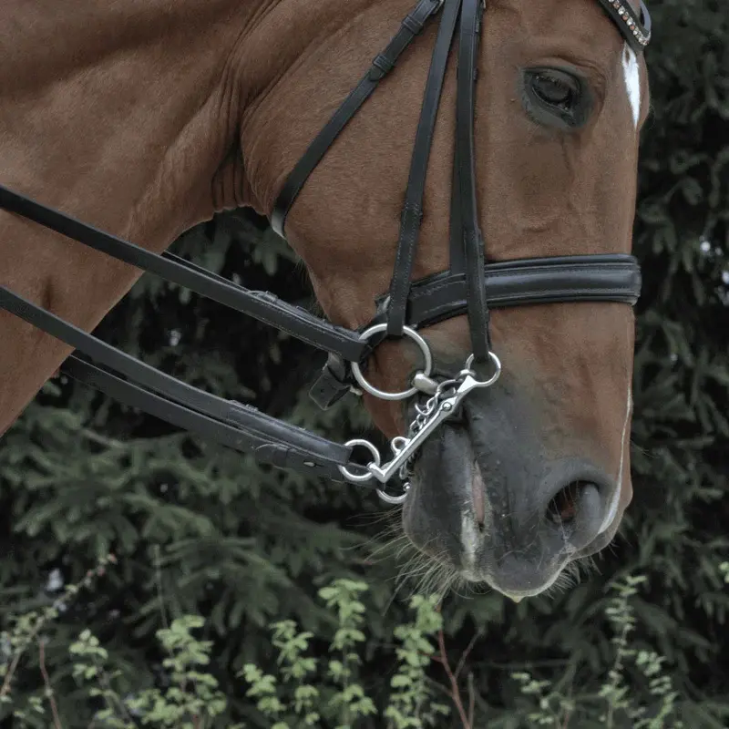 KK ULTRA Unterlegtrense 12 mm - Sensogan mit Edelstahlseiten