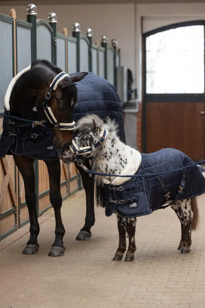 stable rug ZETA 200 SHETTY CORE