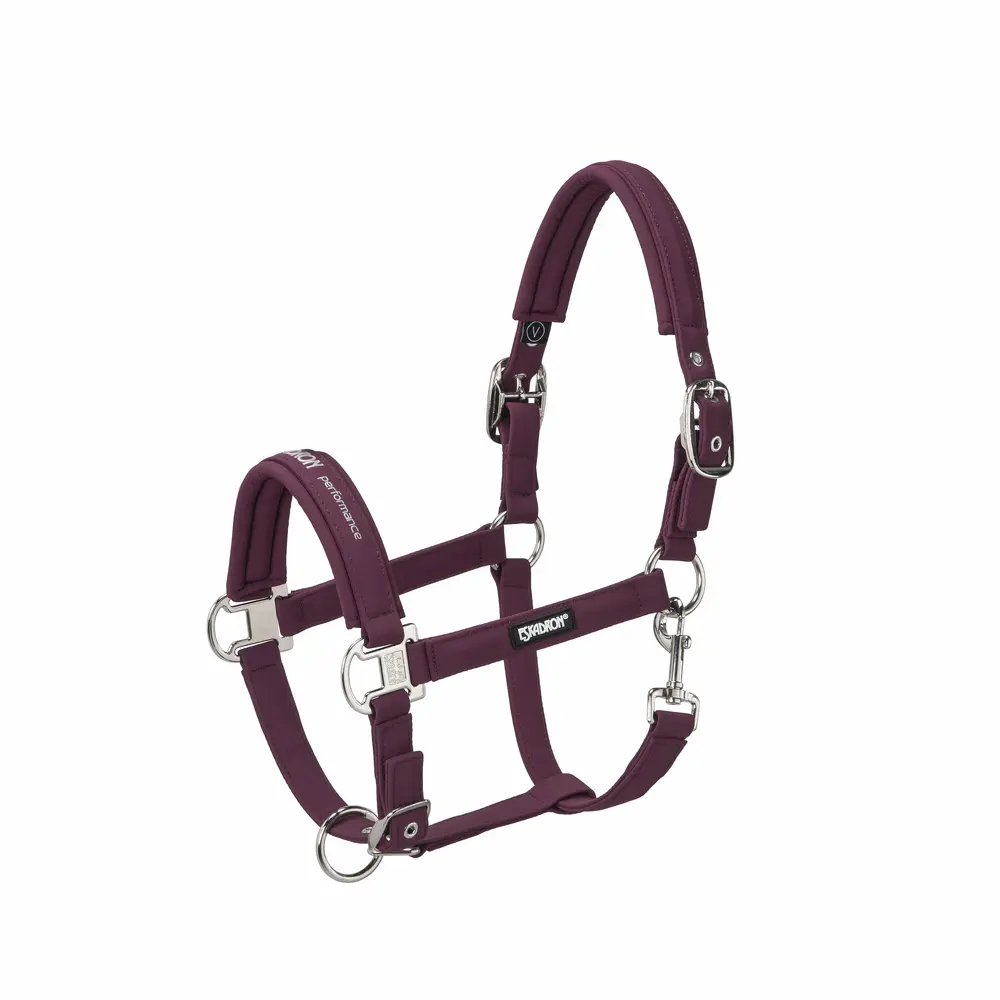 Halfter DOUBLE PIN BUCKLE SOFTSHELL CORE