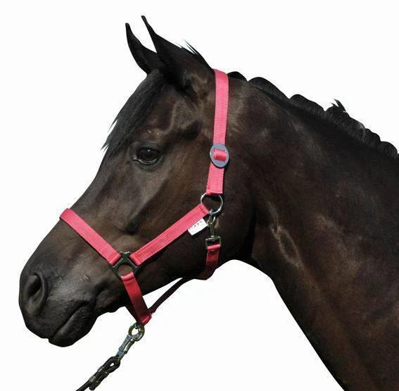 HKM Head collar -Stars Economy-