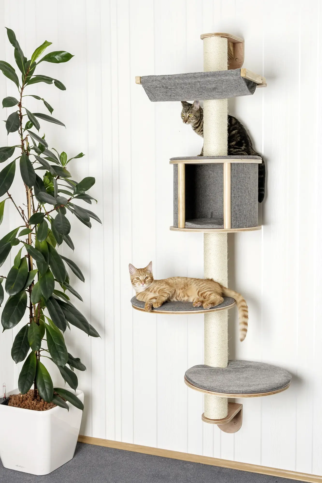 Wall-mounted cat tree Dolomit Tofana, 168 x (75) cm, grey