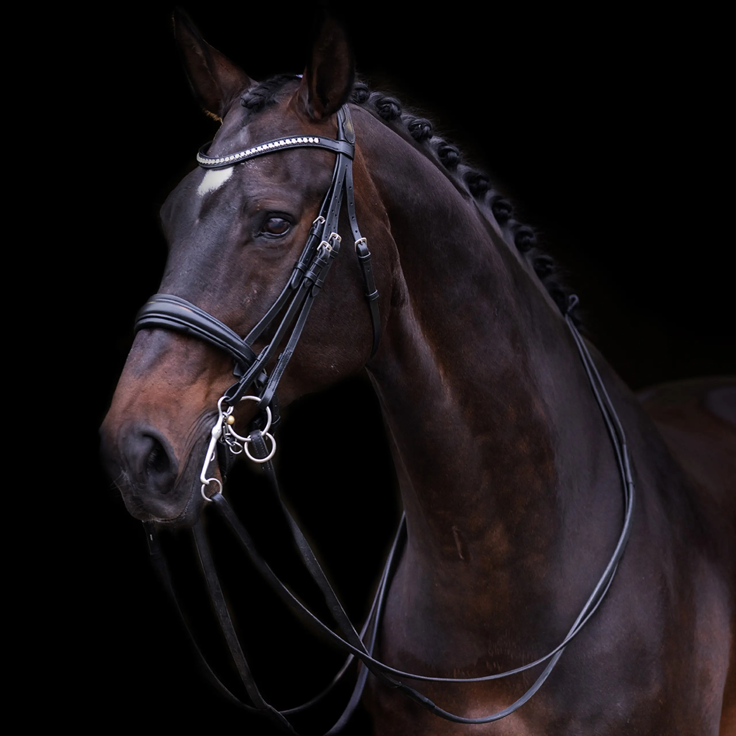 IMPERIAL RIDING Kandarenzaum Fria