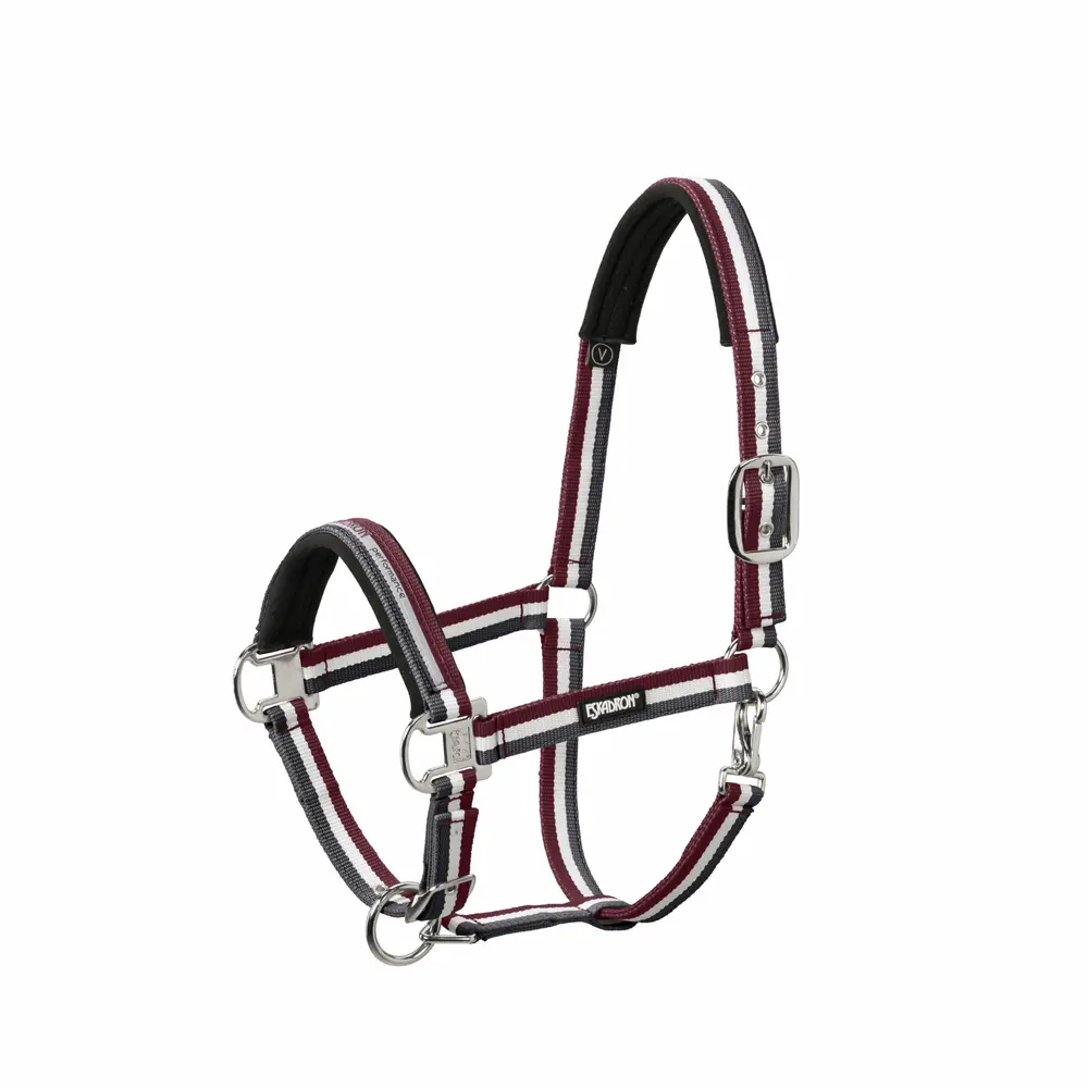 Halfter PIN BUCKLE CORE