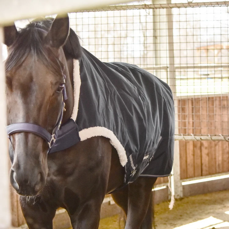 BUSSE Horse-Trainer Rug WALKING 100