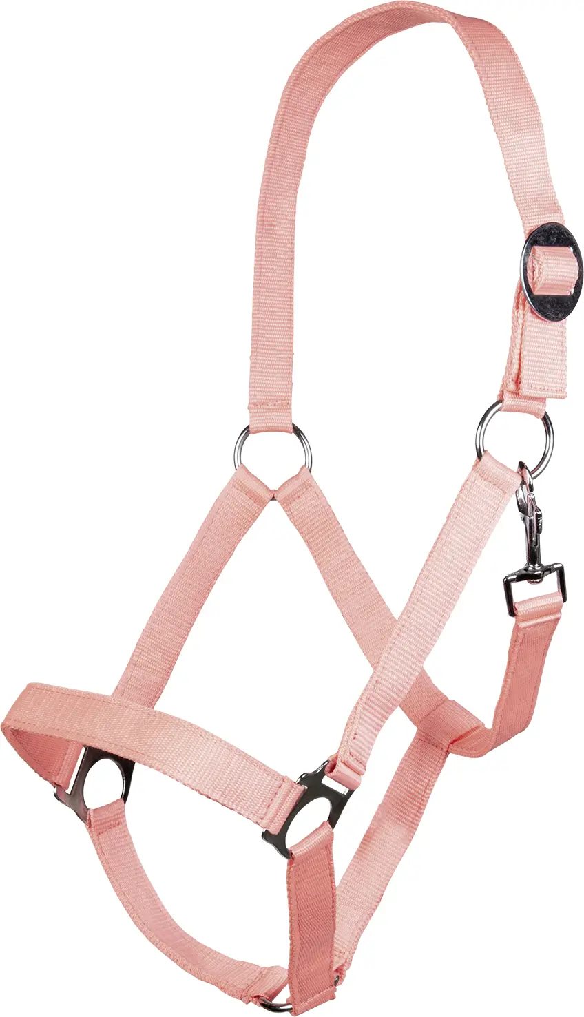 HKM Head collar -Stars Economy Softice-
