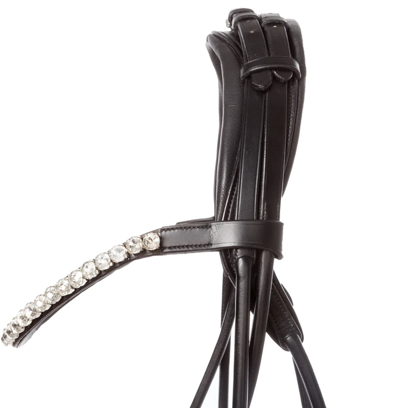 patent bridle FLORINA crank nb. with flash-round