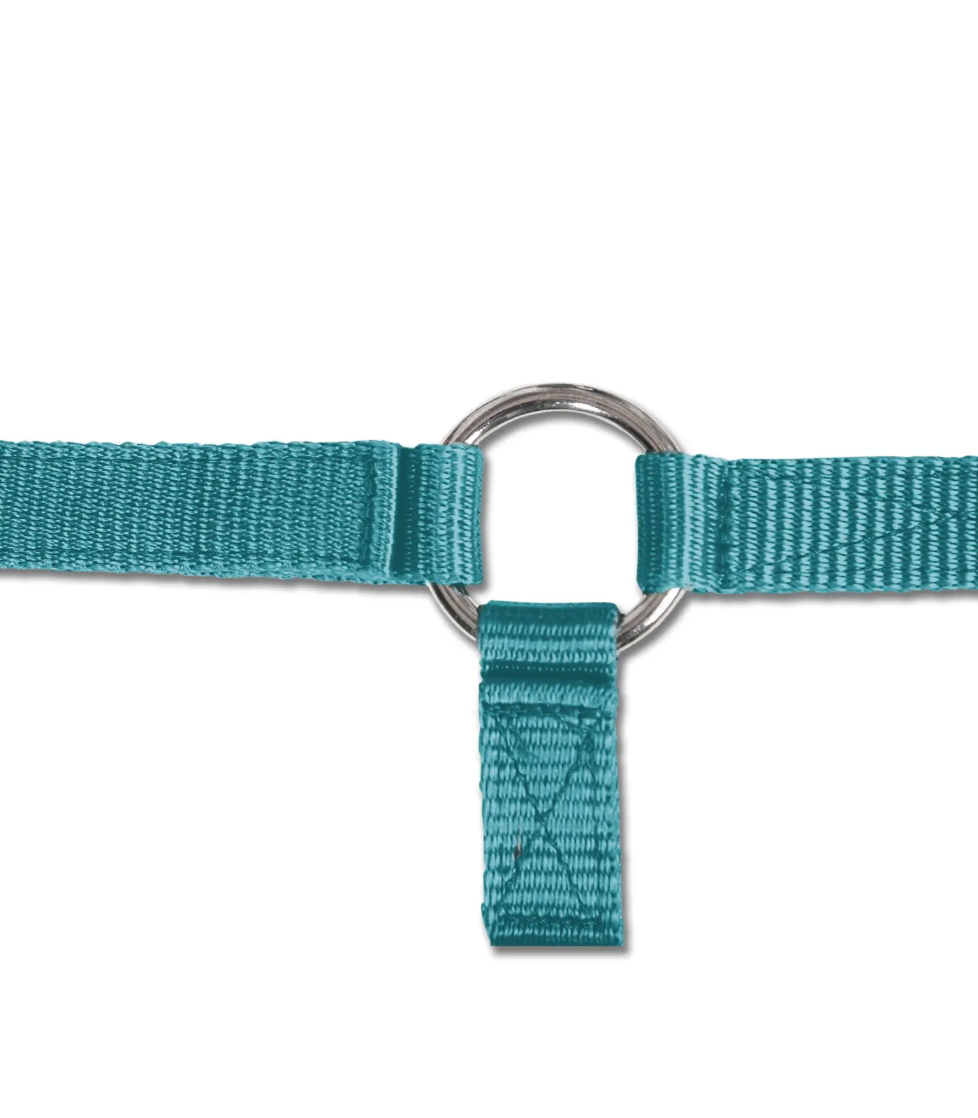 Halter Triple for Foals
