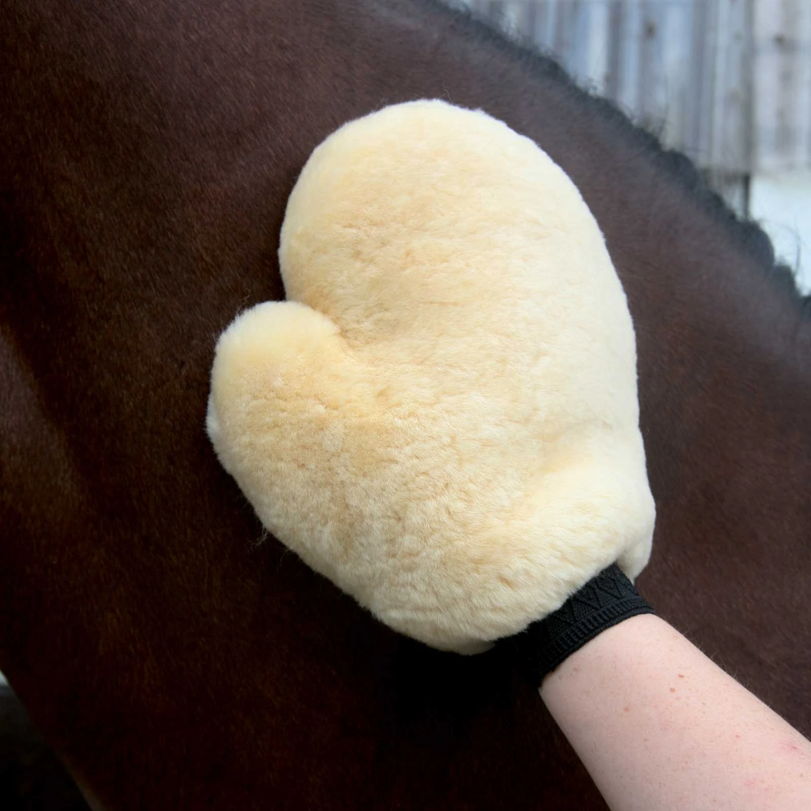 Lambskin Grooming Glove