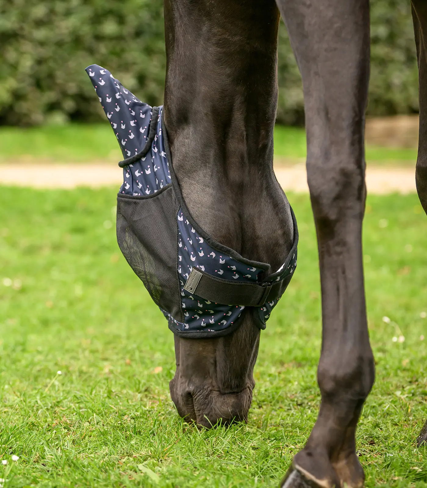 Lucky Fly Mask