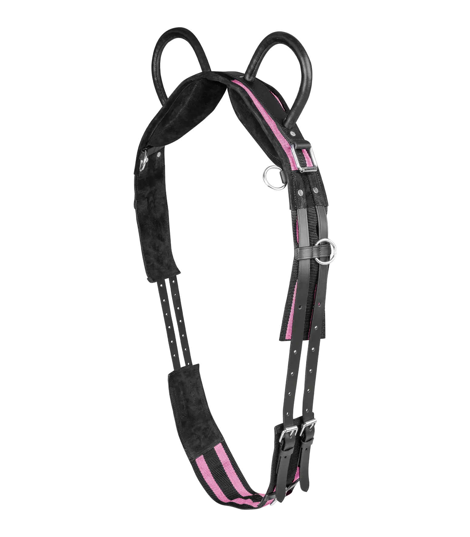 Surcingle with two handles
