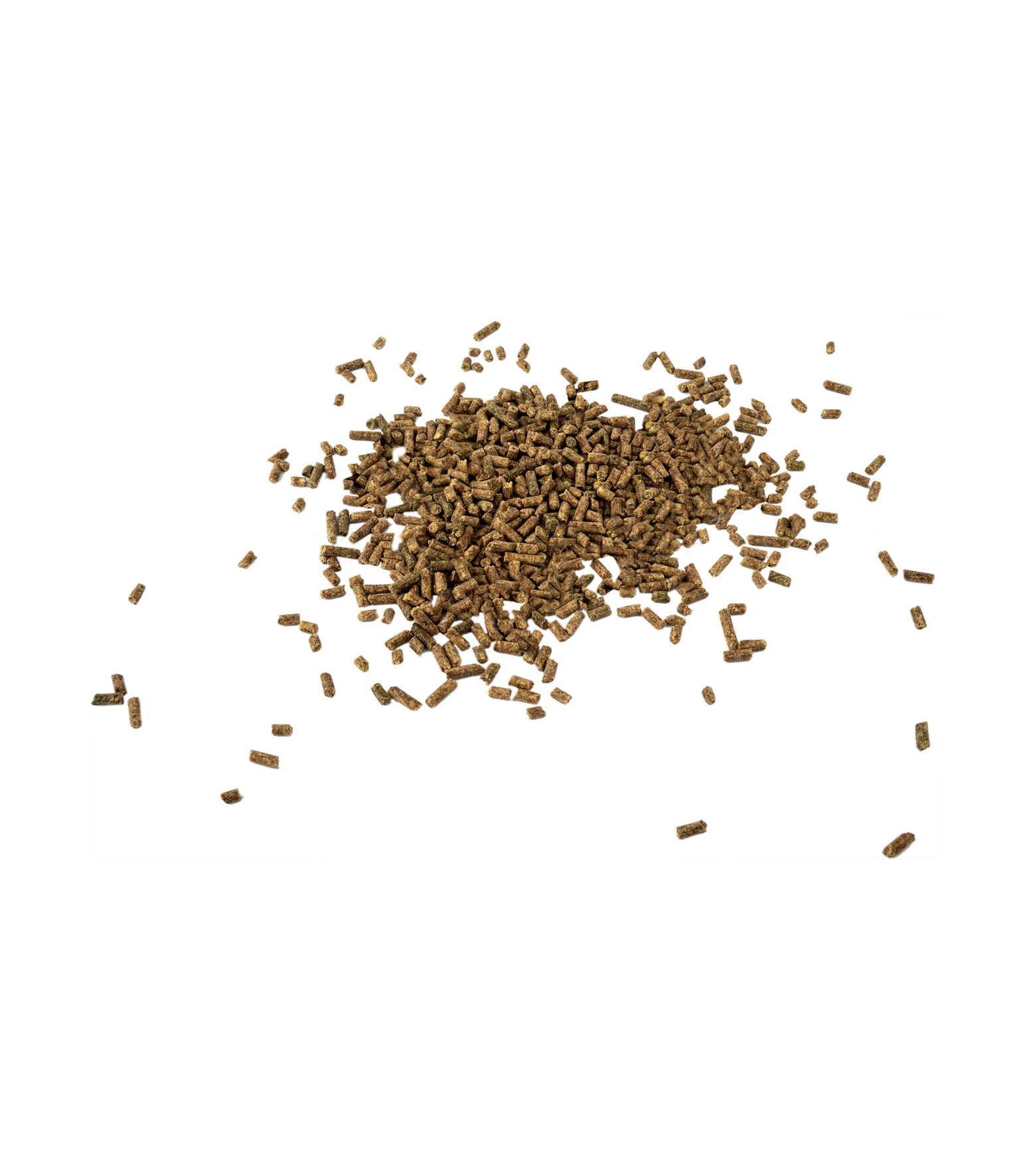Magnesium forte - Für mehr Ausgeglichenheit, 1 kg