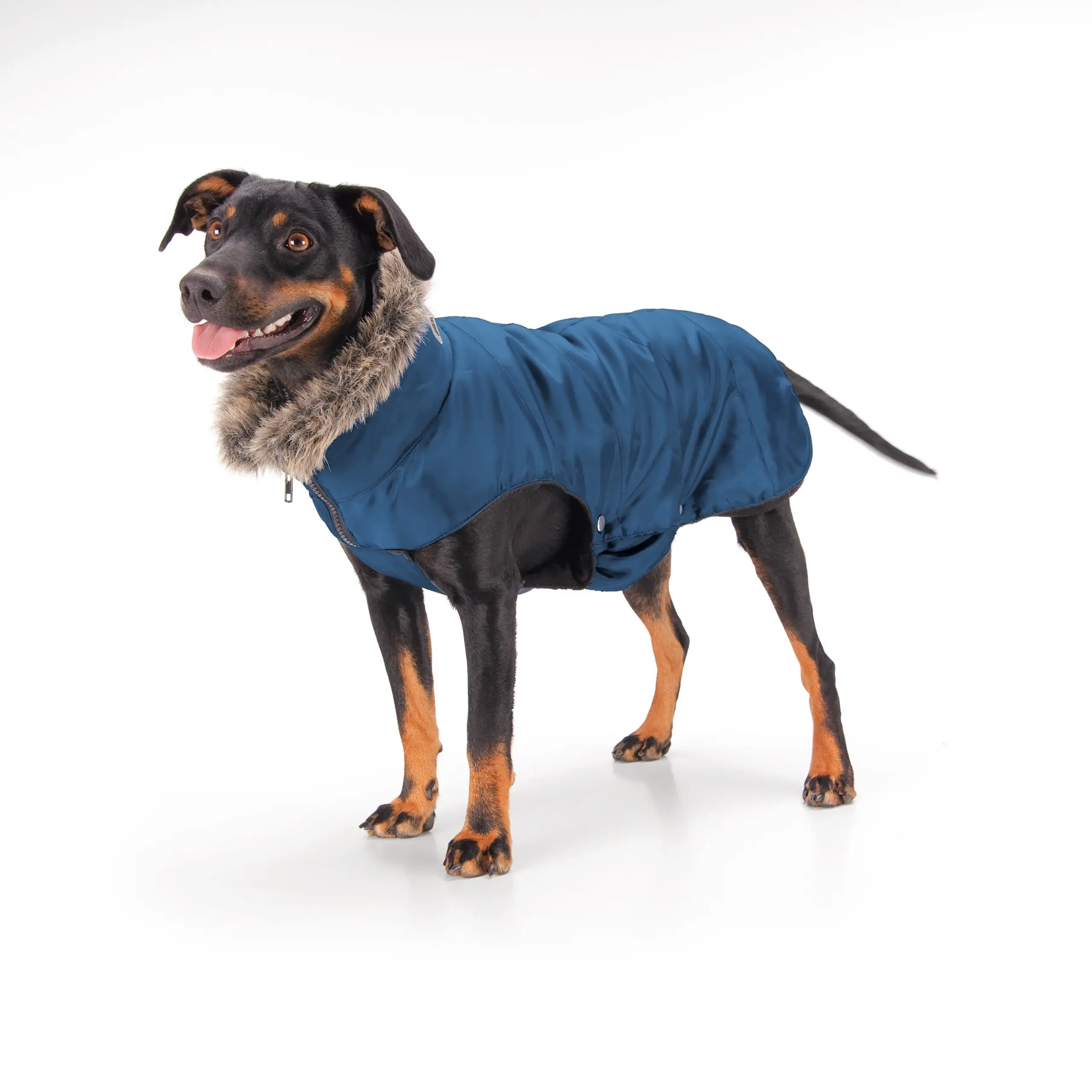 Hundemantel QUILTED Basic