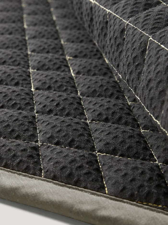 Dressurschrabracke STANFORD Sommer 2026