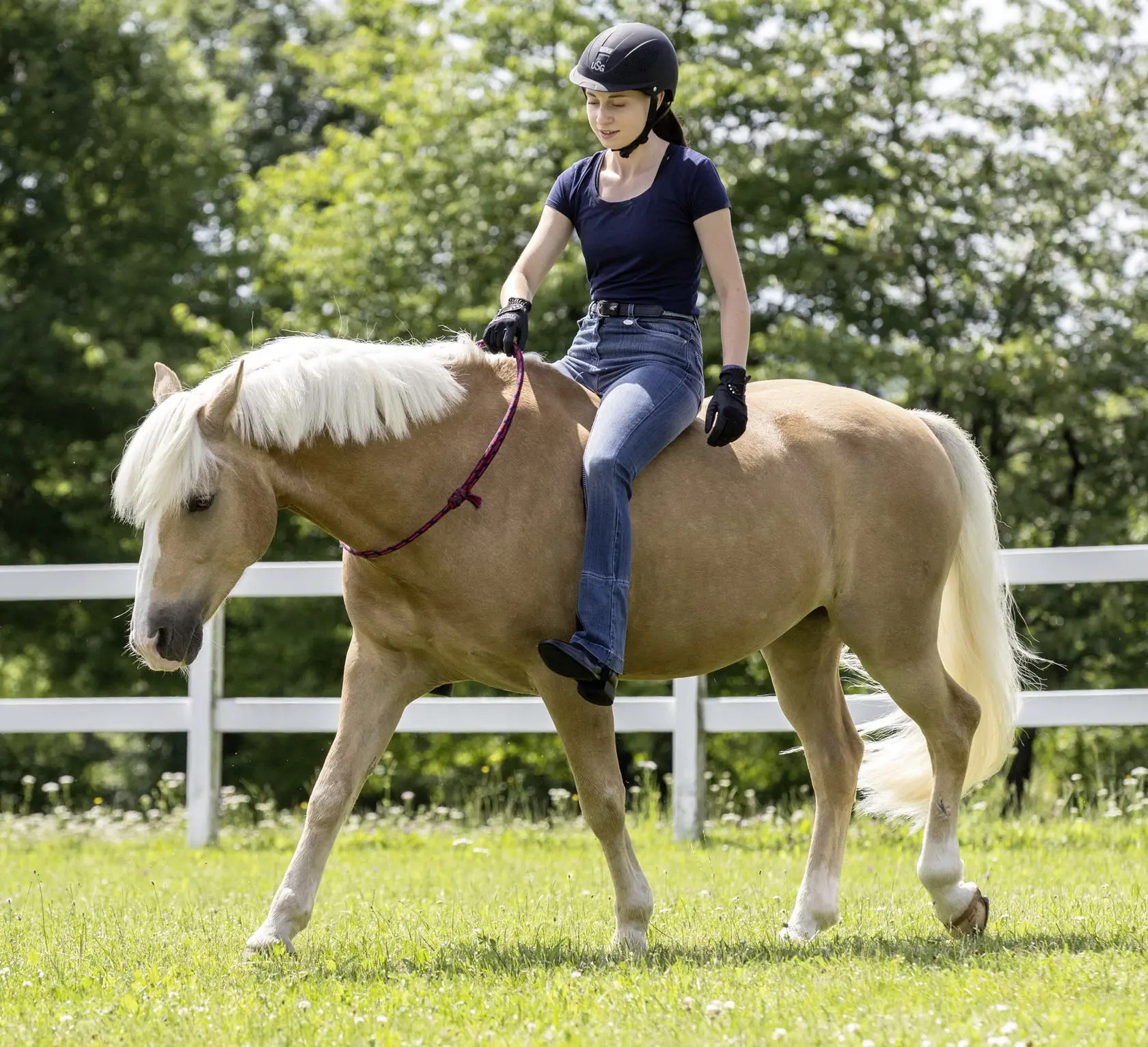 USG Neck Rein, round and size adjustable