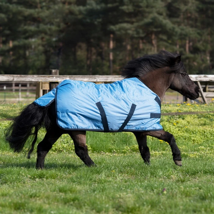 BUSSE Turnout Rug WINDCHILLY MINI 100