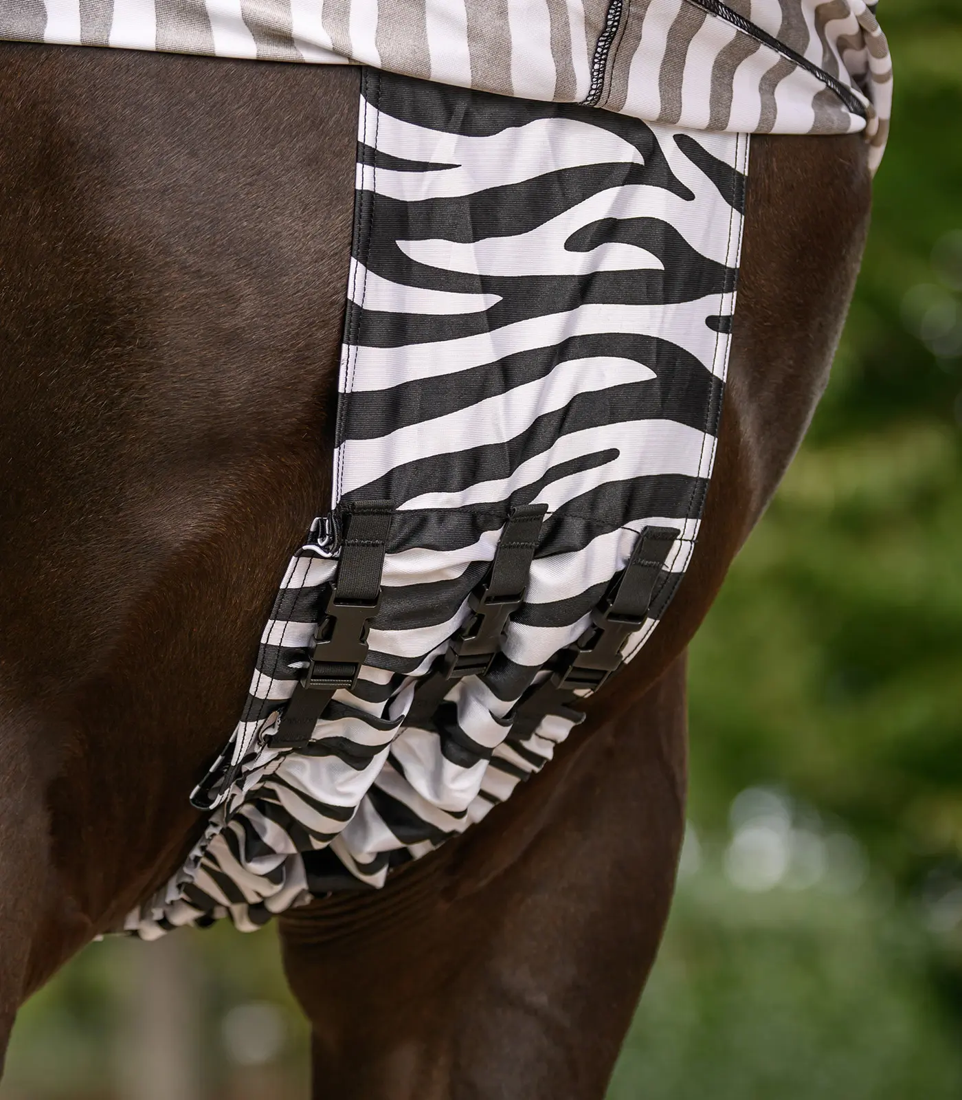 Ekzemdecke ZEBRA
