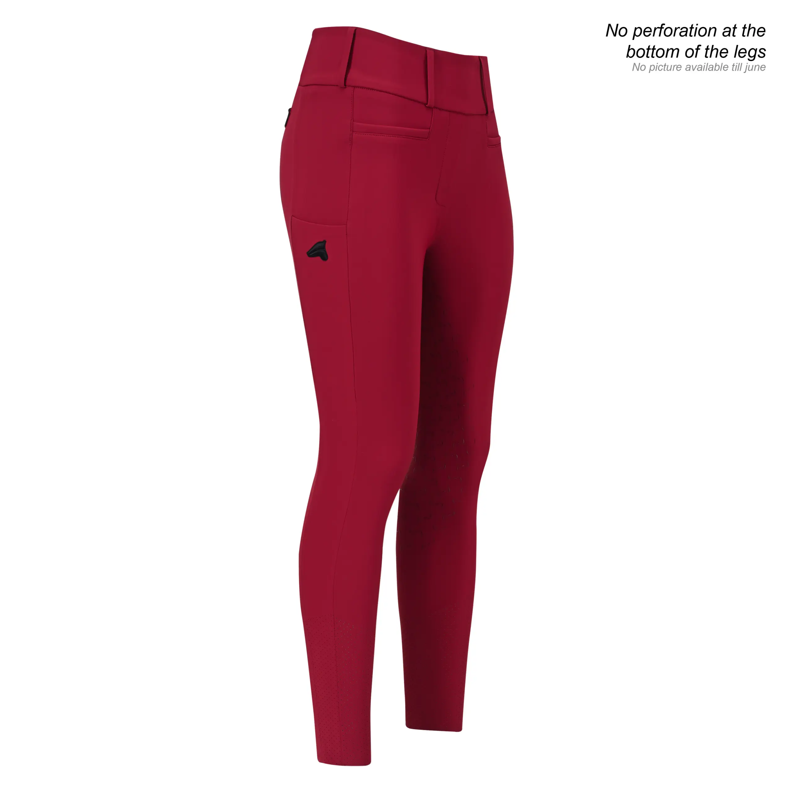 Damen Reitlegging ESEnforce winter FullGrip Winter 2025