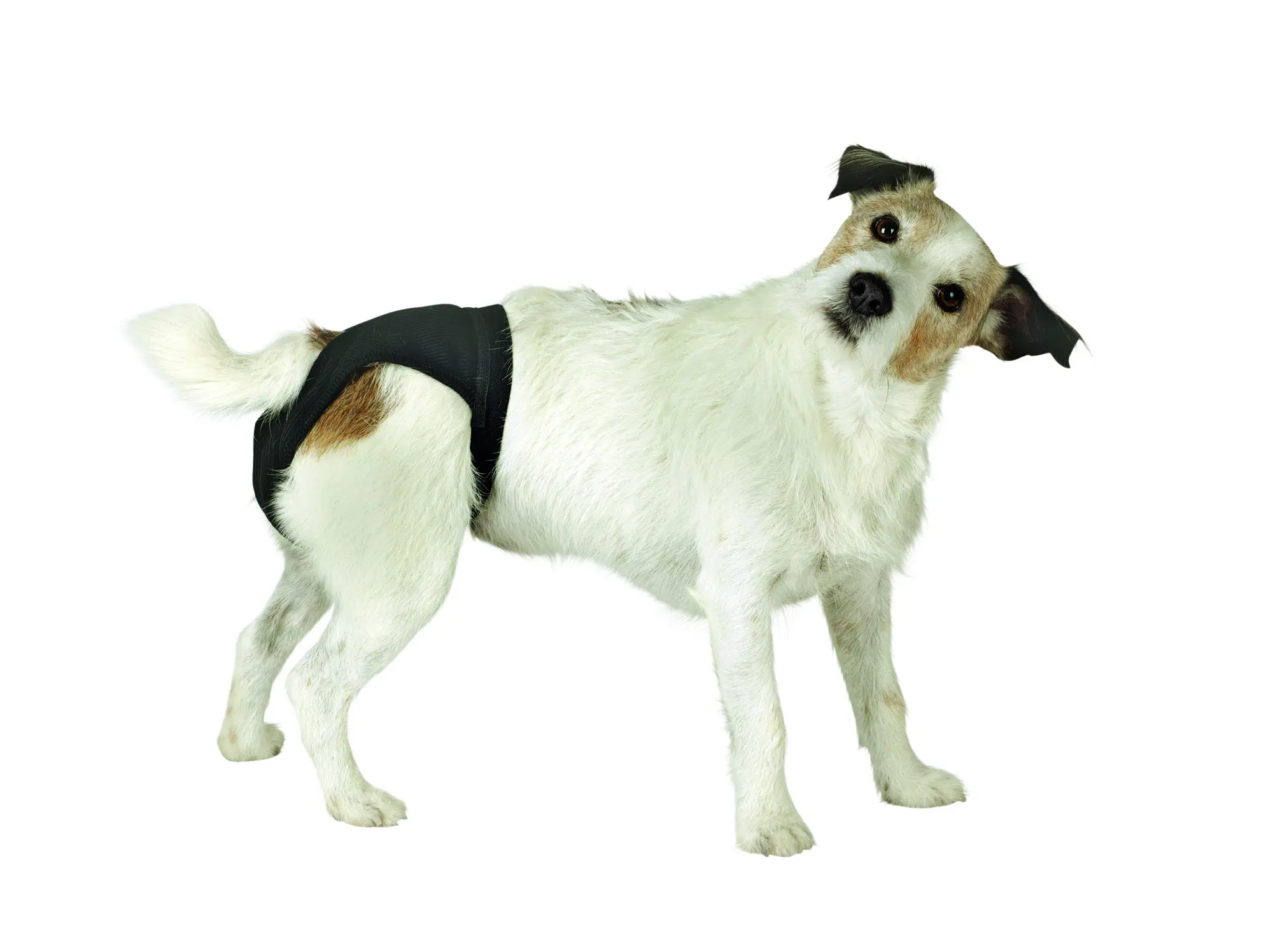 Schutzhose Luxus schwarz