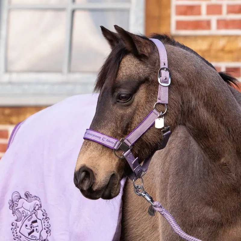 Halfter "Unicorn Academy"-Glitzer