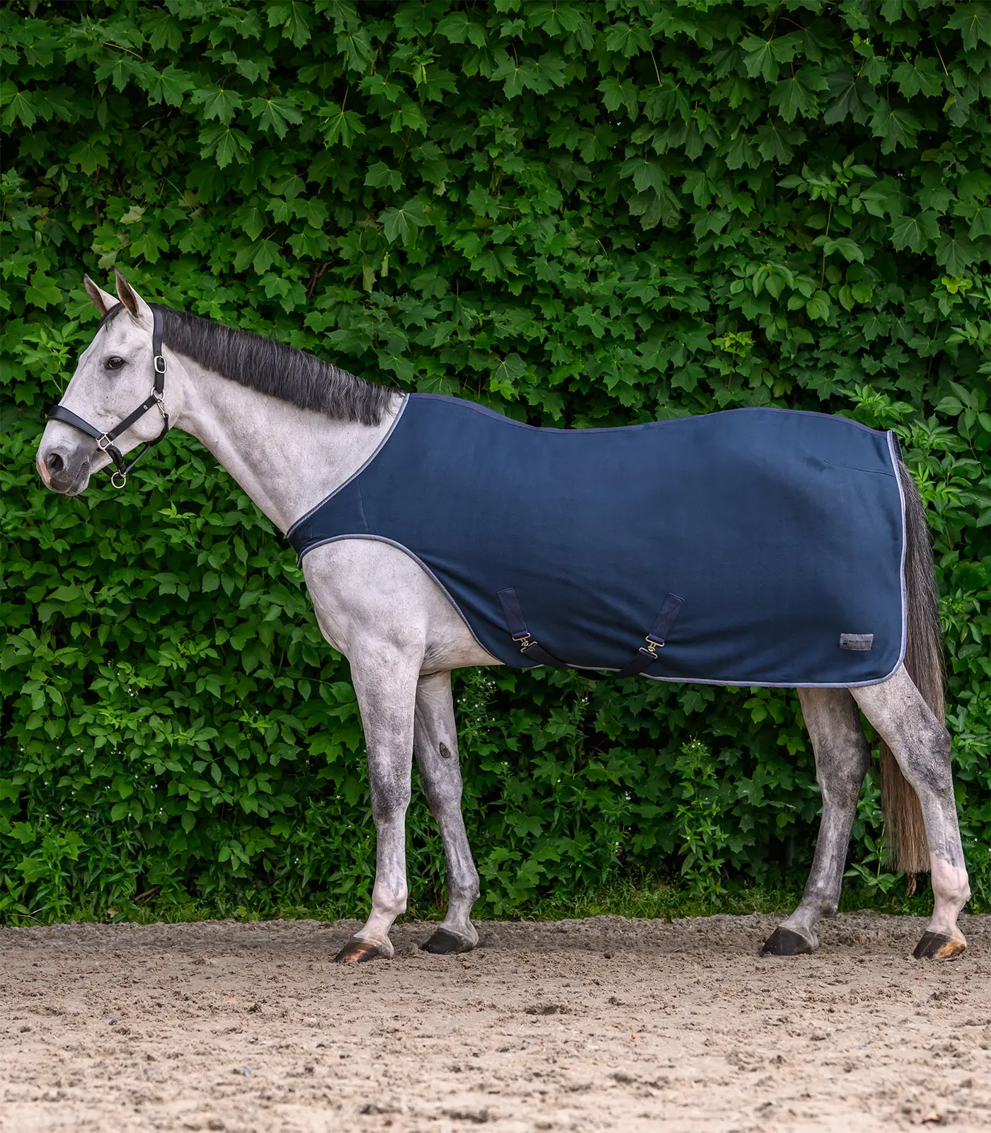 ECONOMIC fleece horse walker rug