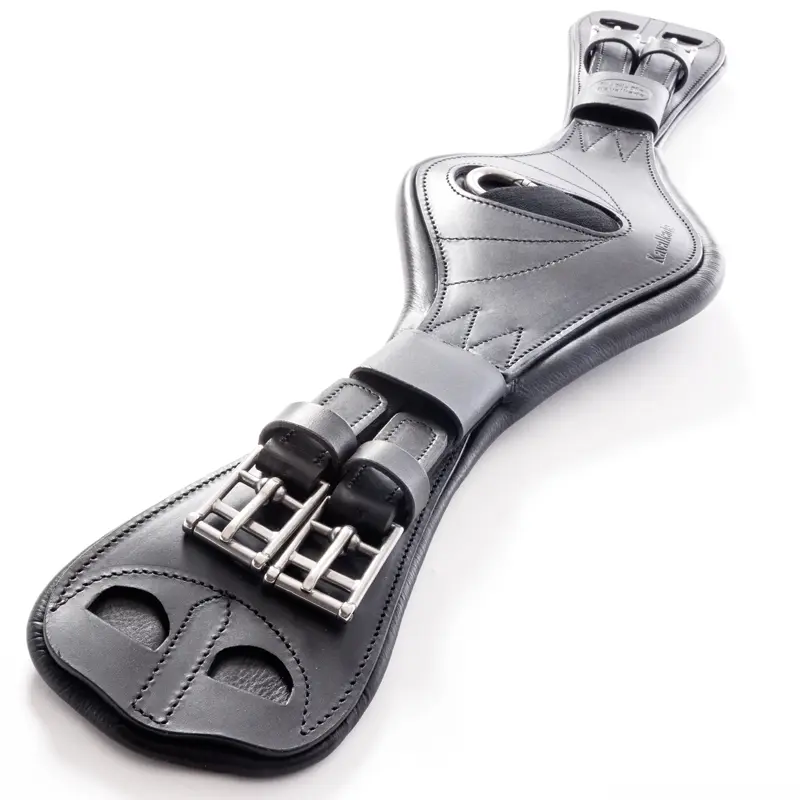 Shortgirth oiled leather JULIUS with elastic
