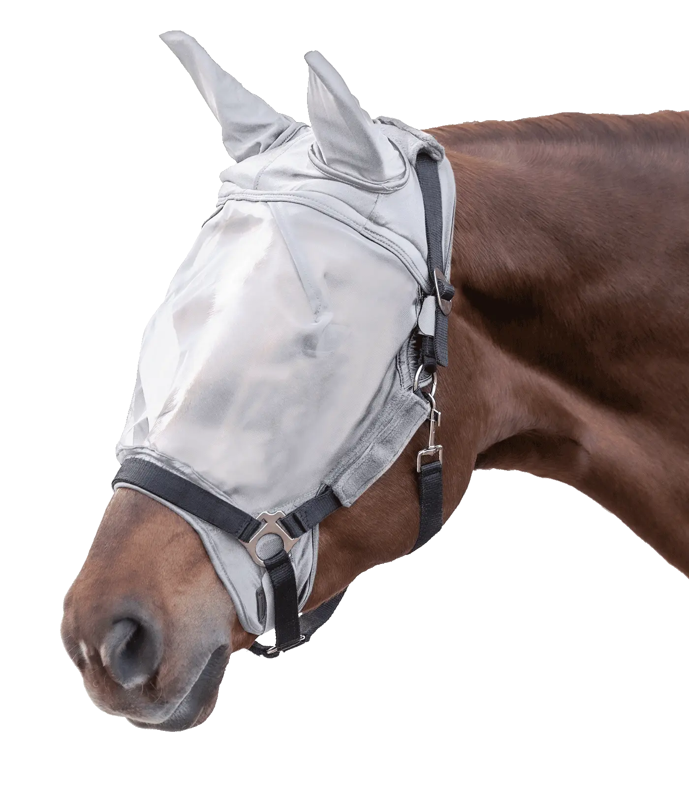 PREMIUM Fly Mask, with ear protection