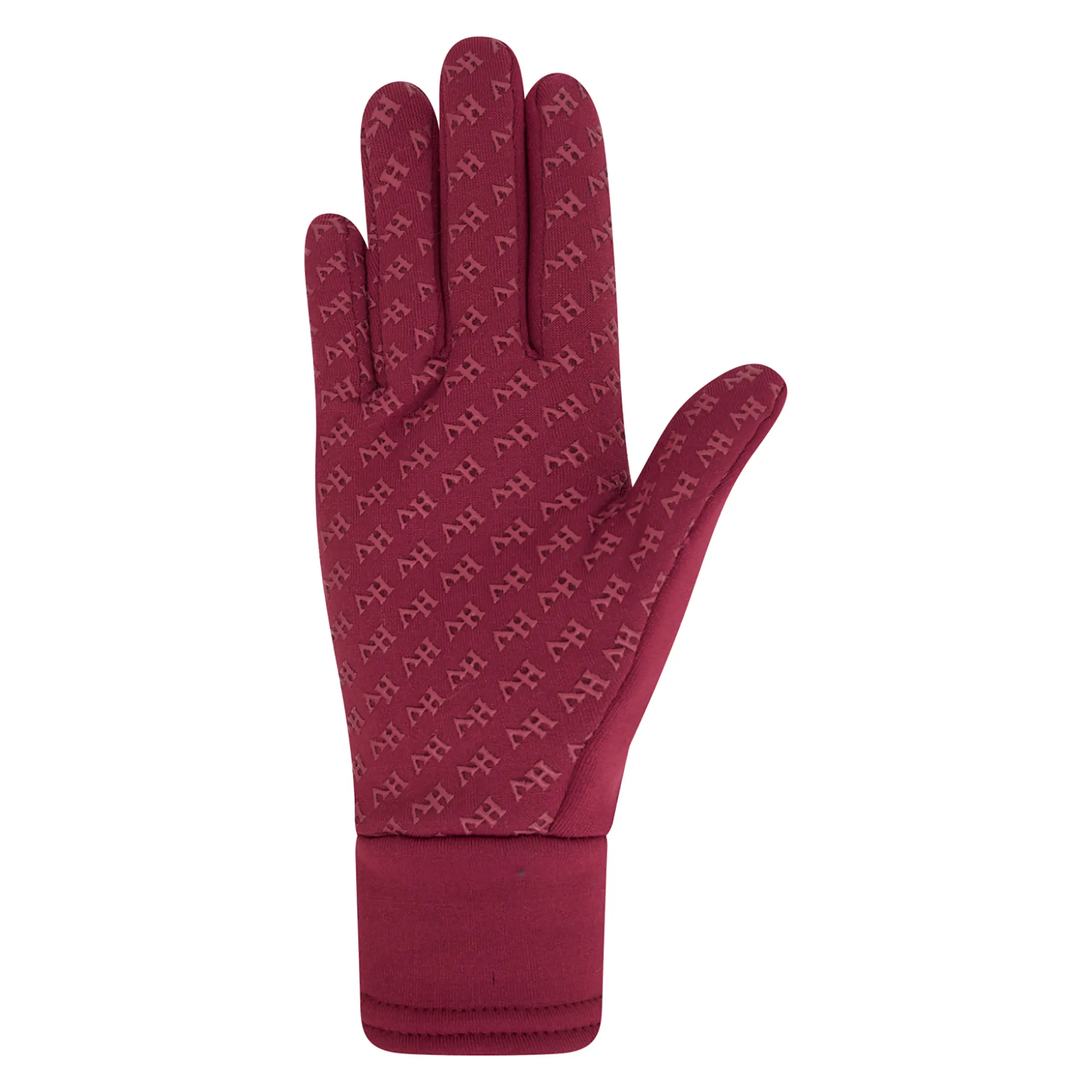 Handschuhe Winter HV POLO