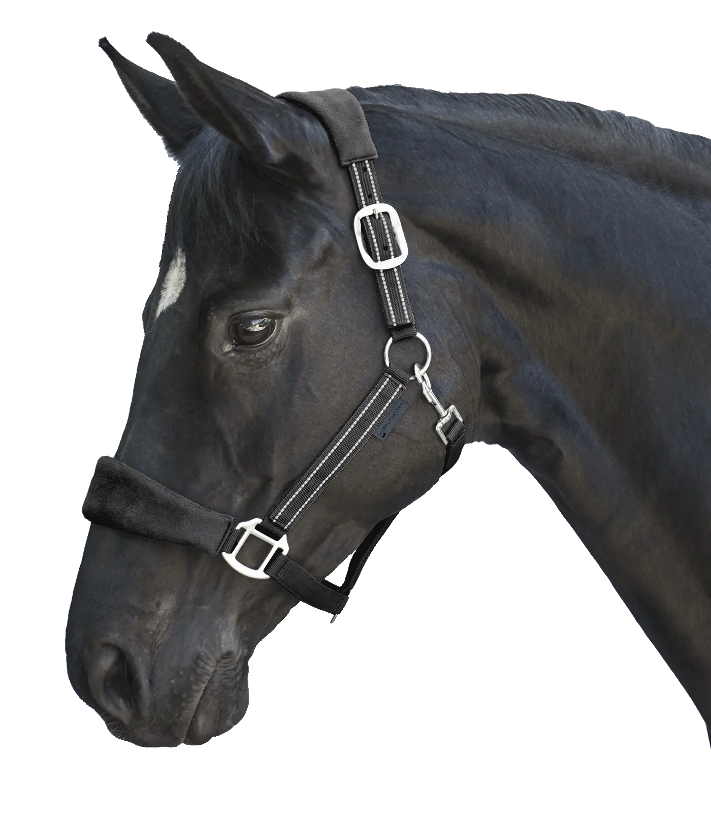 Alcantara halter