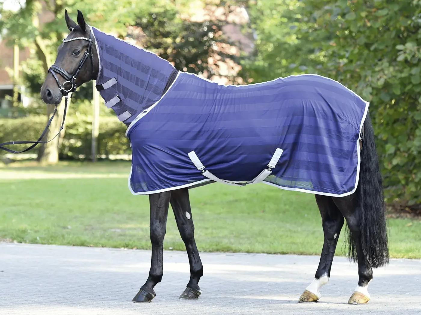BUSSE Transport Fly Sheet STRIPE PLUS