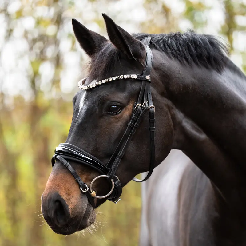 bridle "Zora" crank nb. with flash