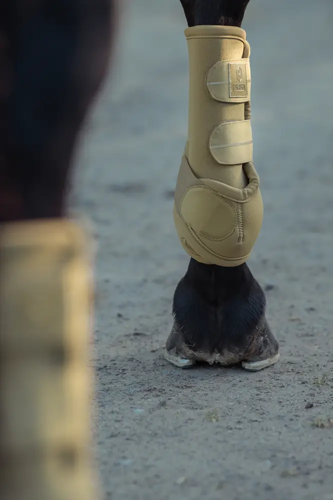 Gamaschen PRO DRESSAGE FRONT Heritage 25