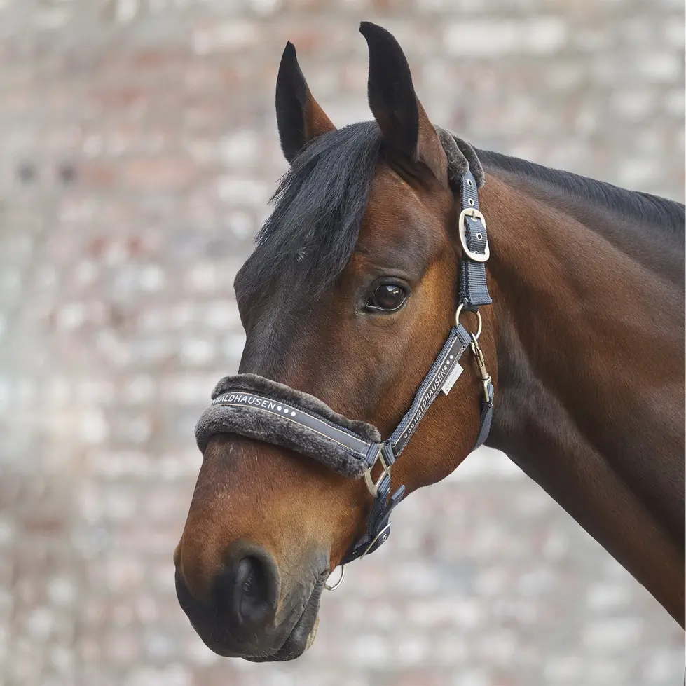 Halfter ELEGANT