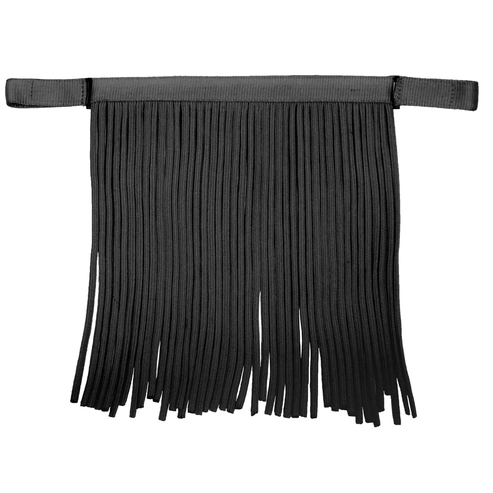 Salon Fly Fringe