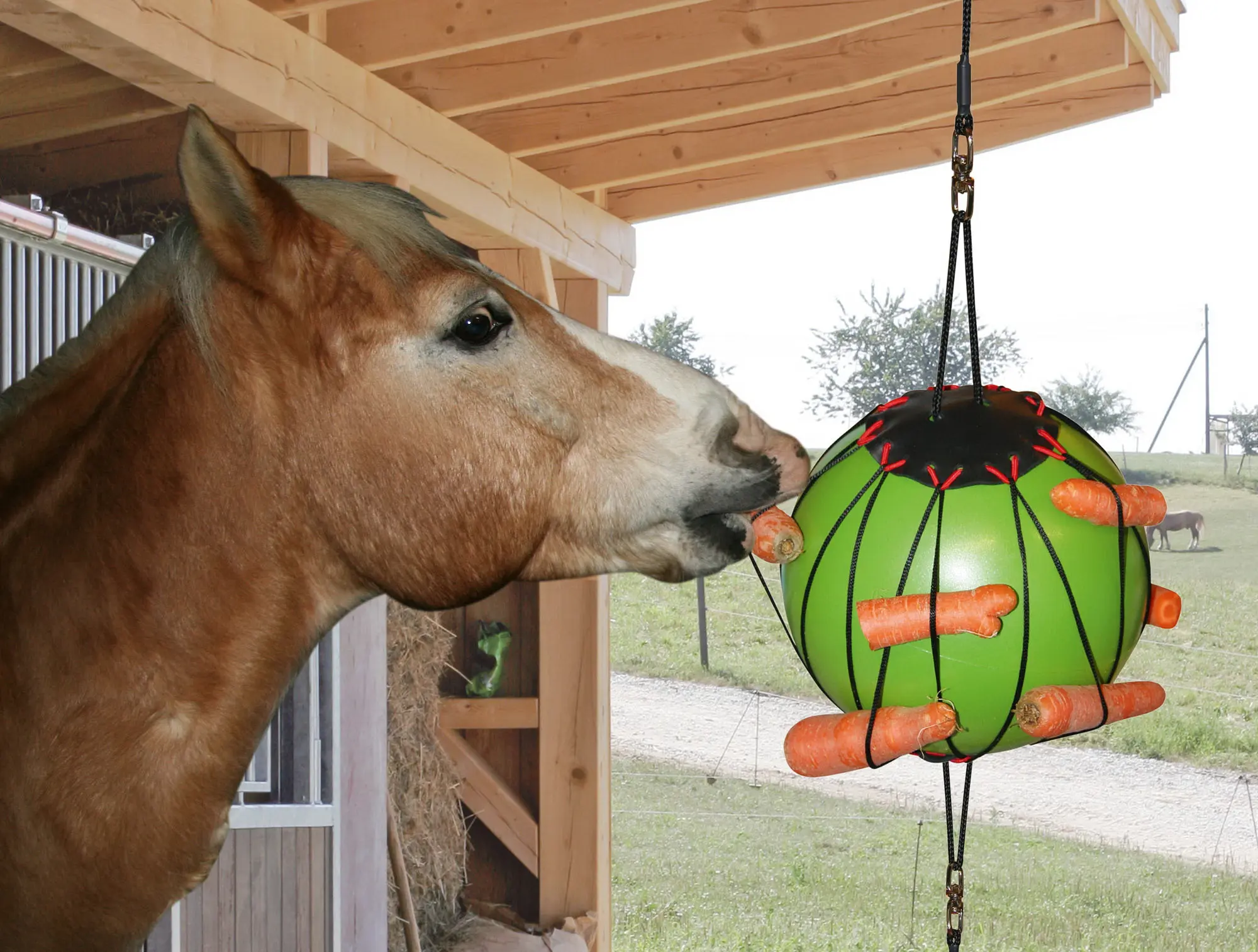 Therapy ball for horses, Ø 25 cm, green