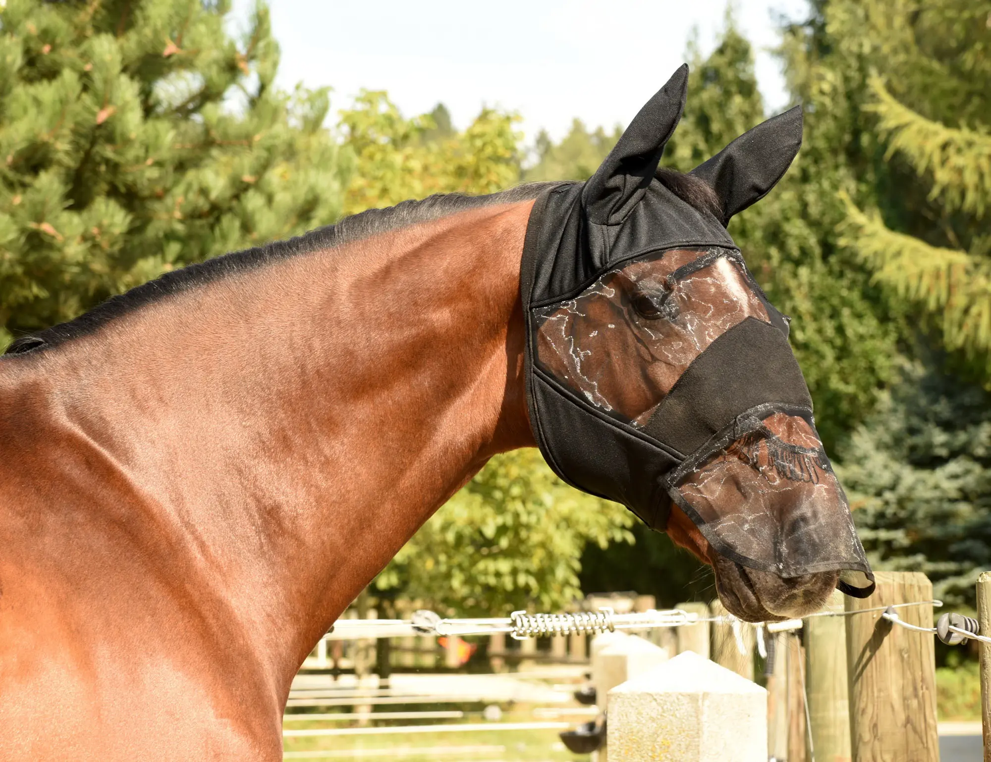 KERBL Fly mask black, with ear and nose protection
