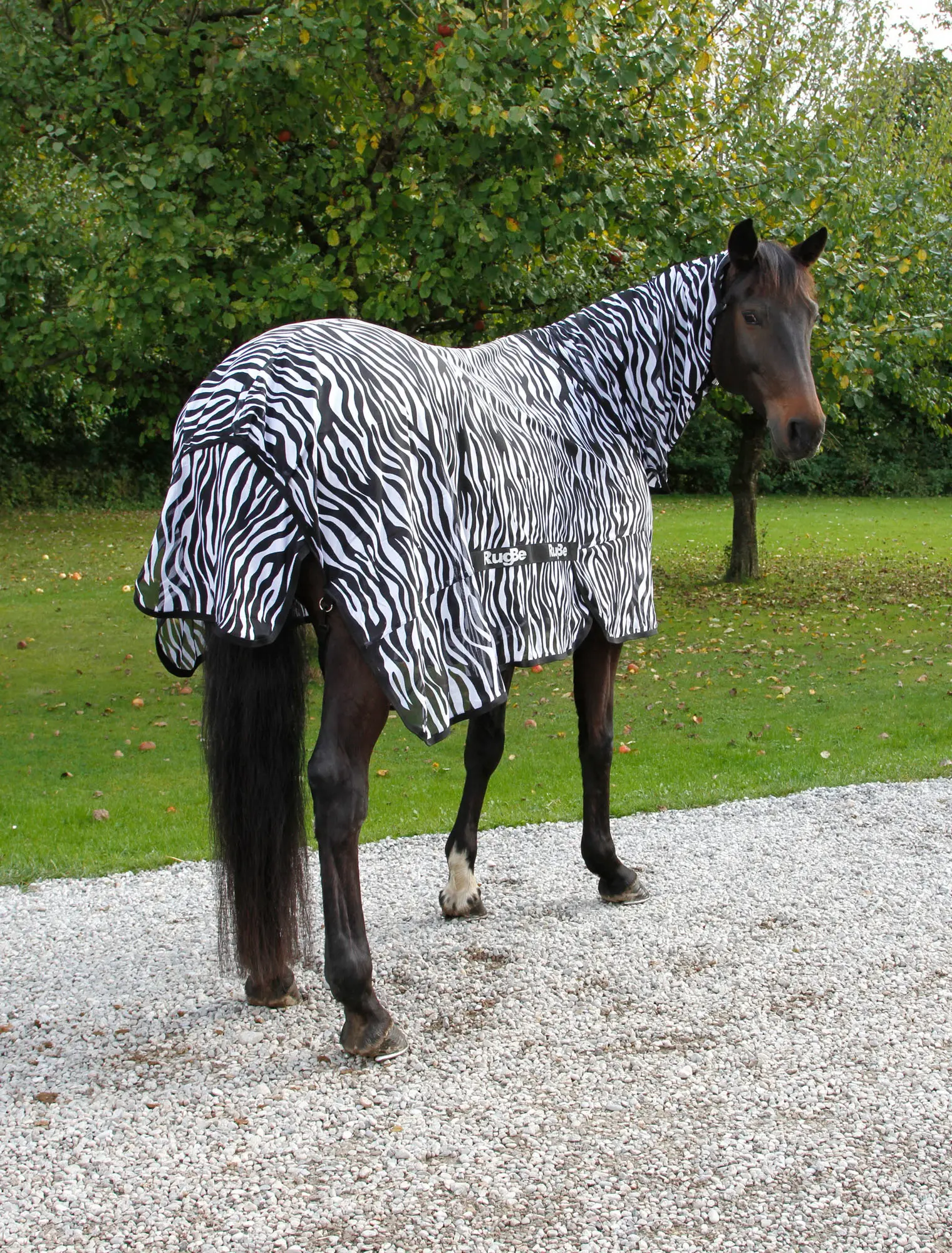 RugBe Zebra Fliegen- und Ekzemerdecke mit Halsteil