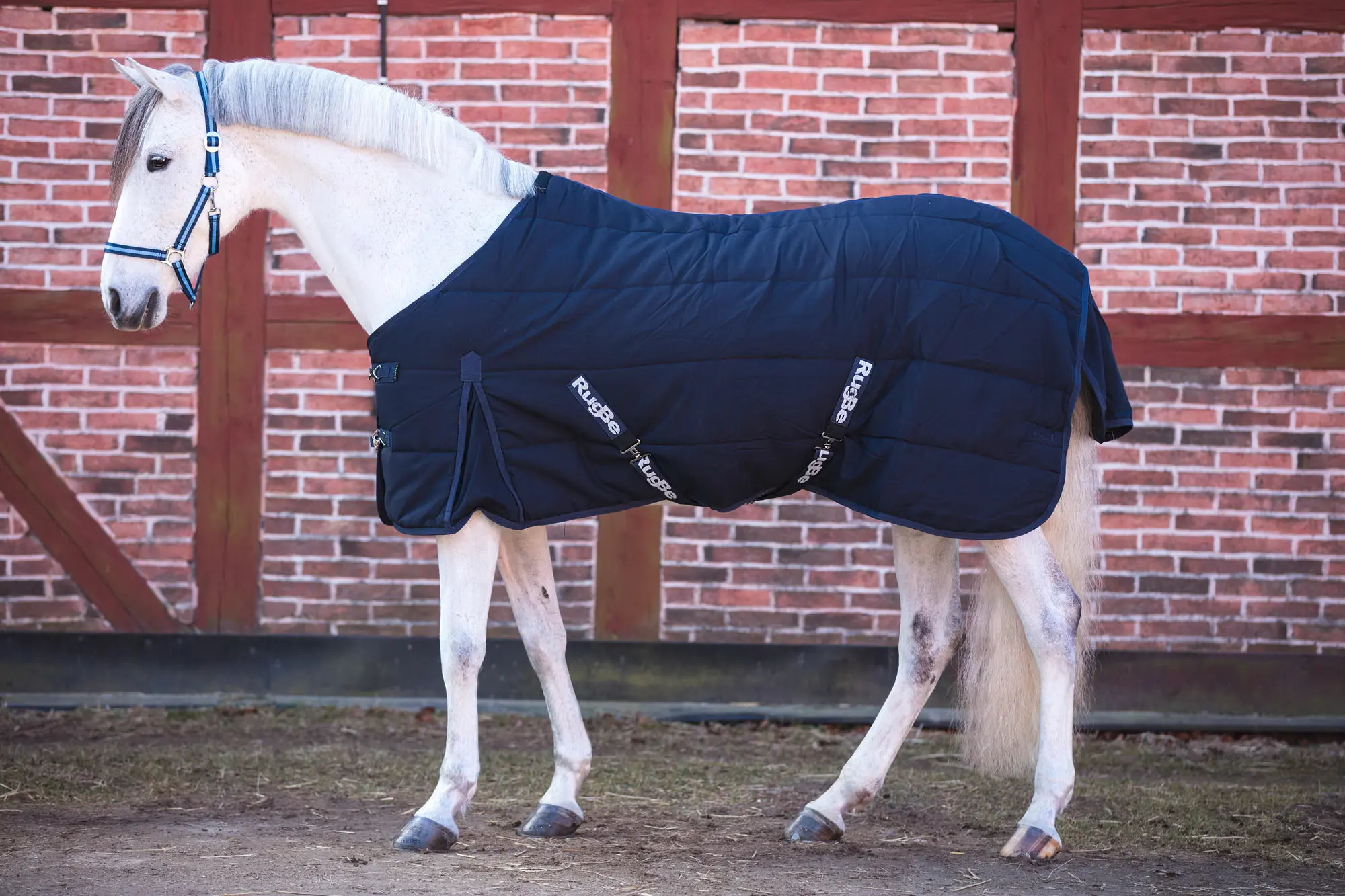 Stalldecke RUG BE INDOOR